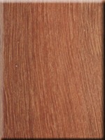 Brazilian Redwood