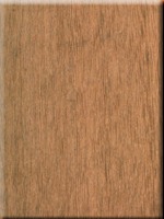 Cambara