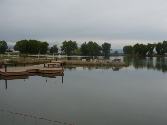 DSC00516