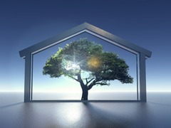 Eco_construction